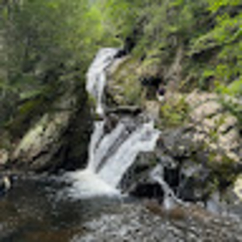 Meet your Posher, Ava